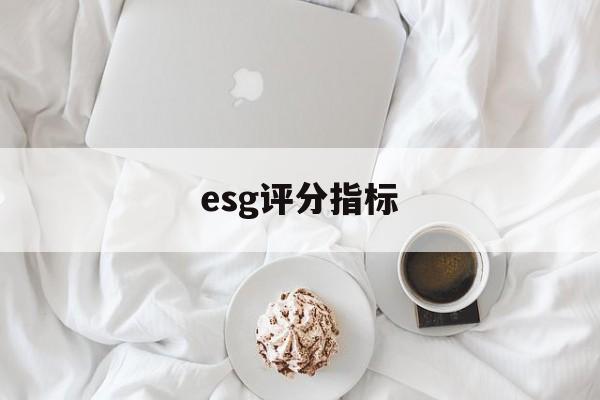 esg评分指标(essdai评分表)